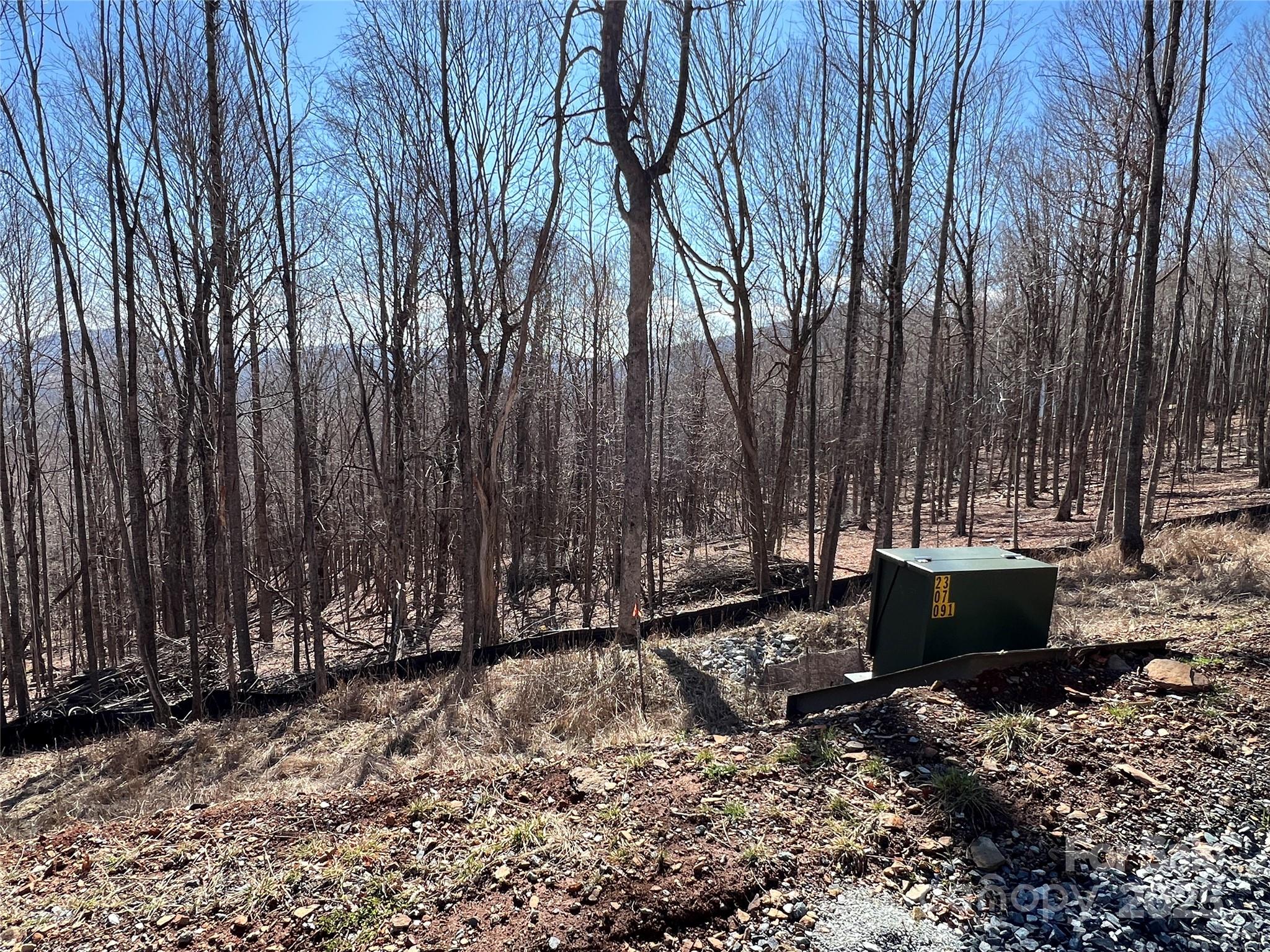 Tbd (Lot 69) Poplar Forest Drive Boone NC 28607