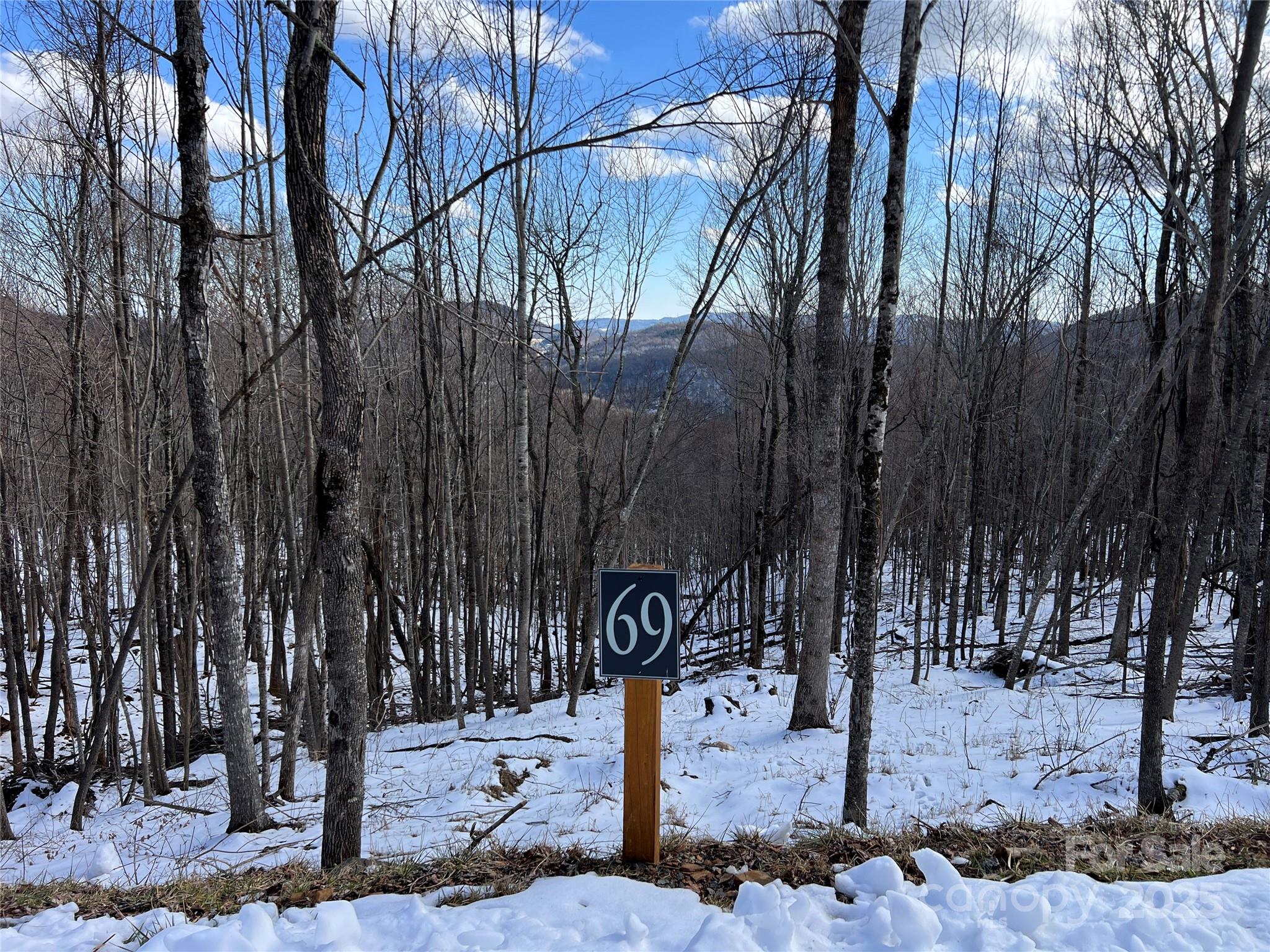 Tbd (Lot 69) Poplar Forest Drive Boone NC 28607