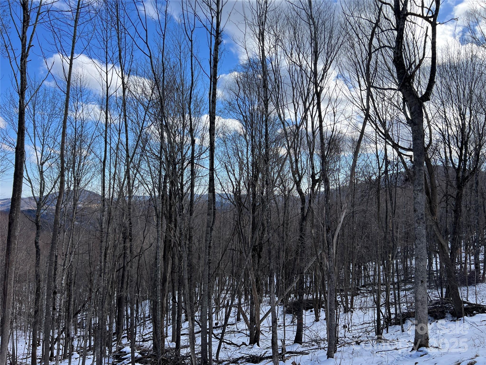Tbd (Lot 69) Poplar Forest Drive Boone NC 28607