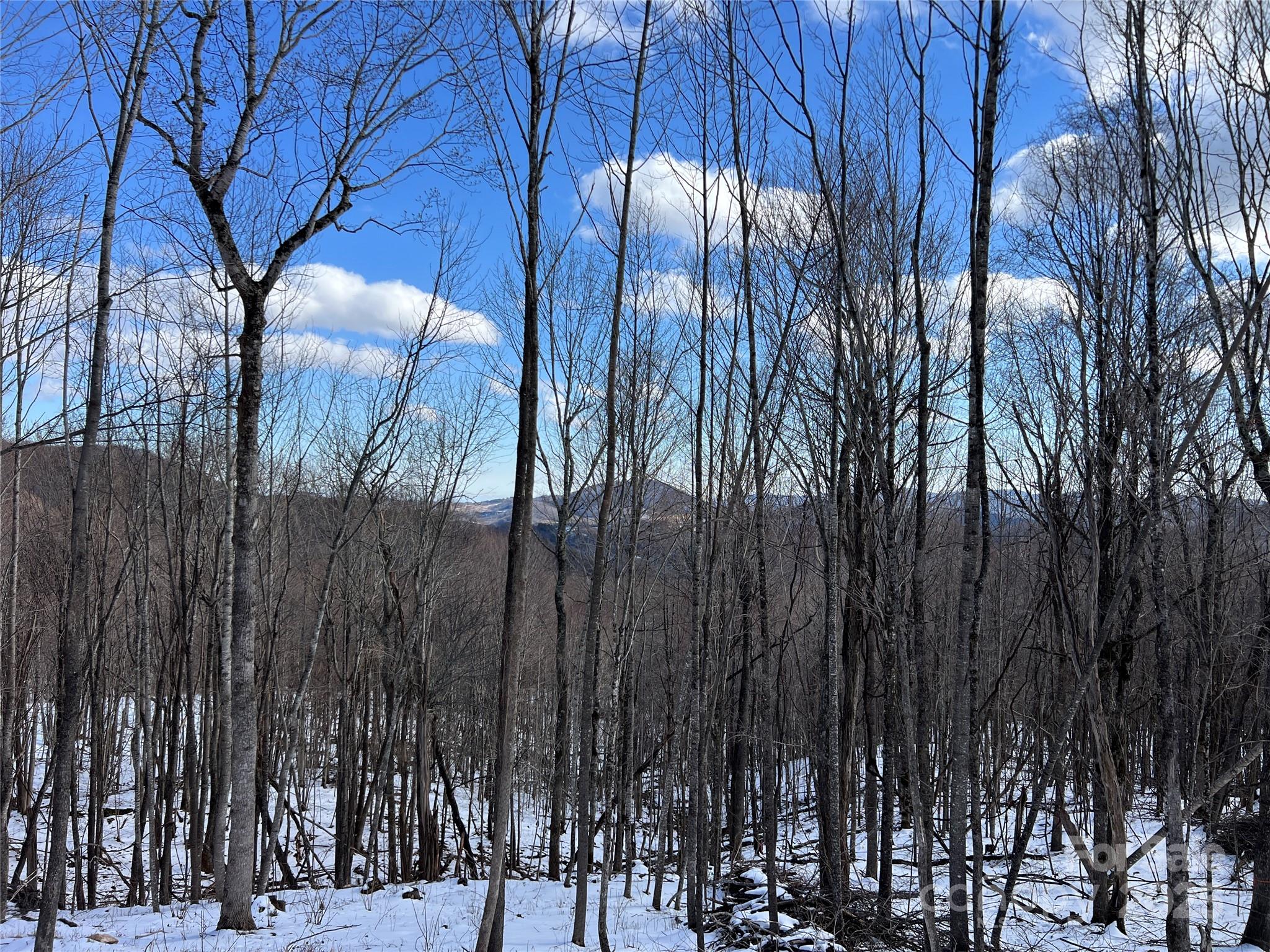 Tbd (Lot 69) Poplar Forest Drive Boone NC 28607