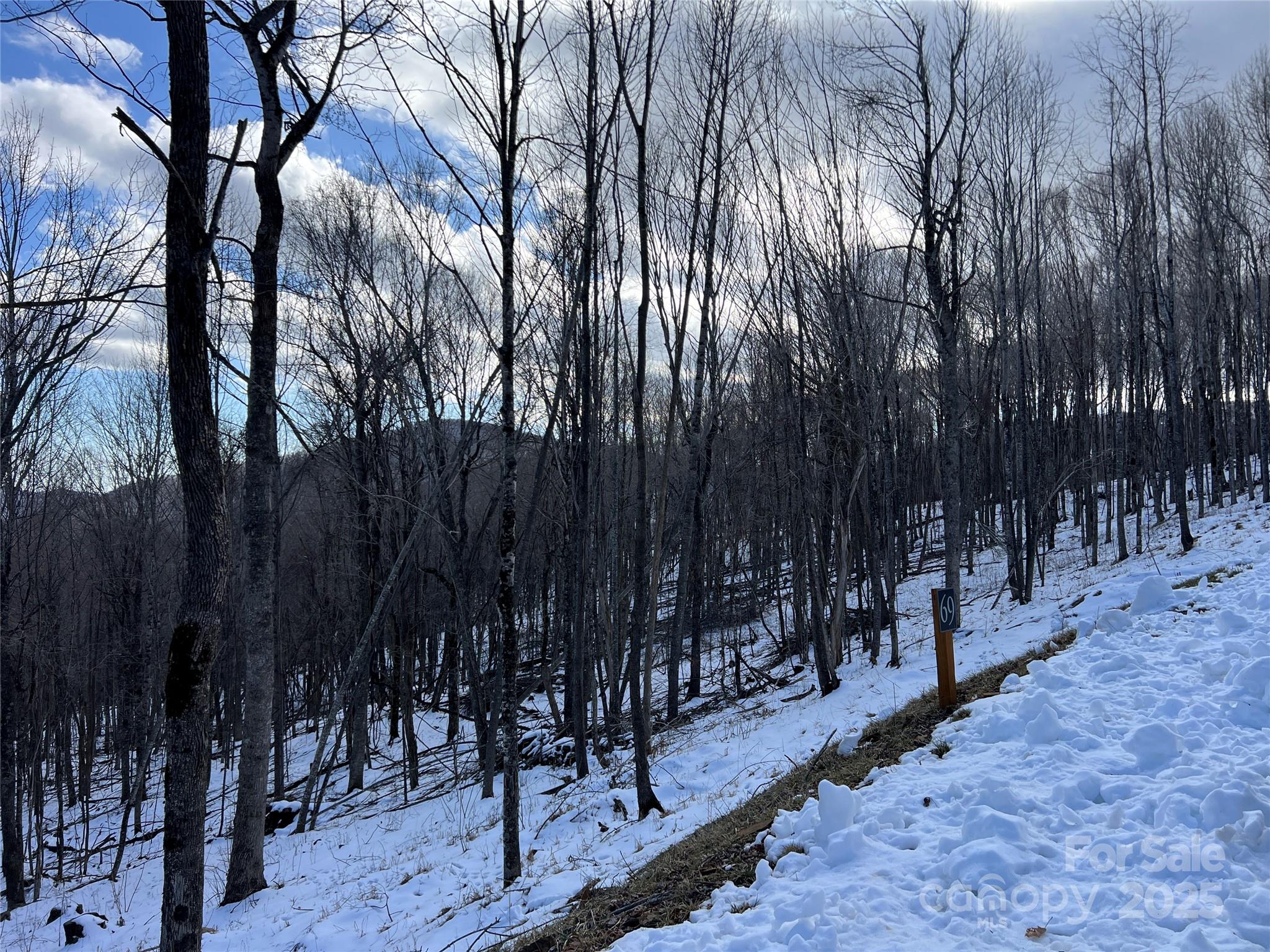 Tbd (Lot 69) Poplar Forest Drive Boone NC 28607