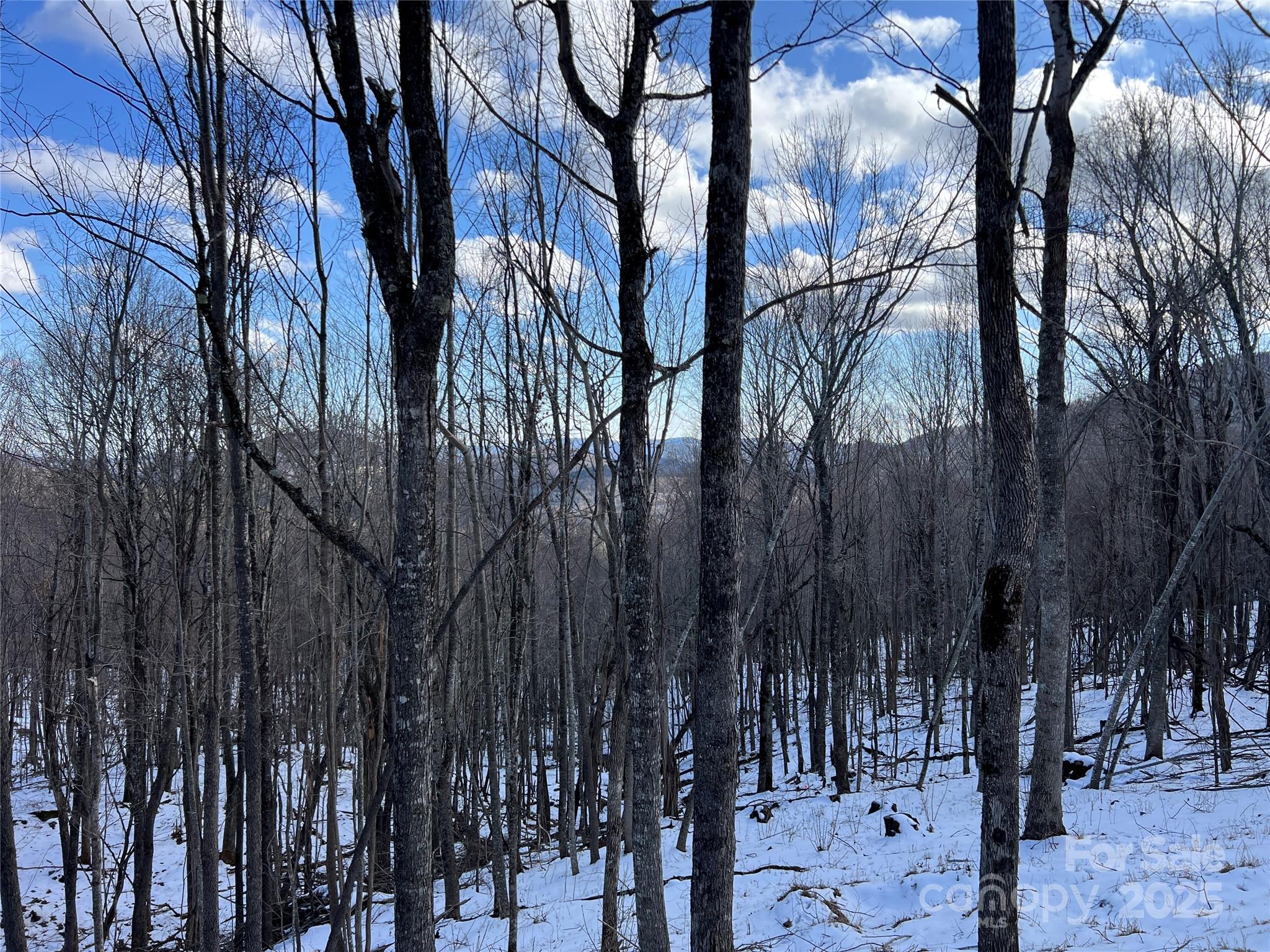 Tbd (Lot 69) Poplar Forest Drive Boone NC 28607