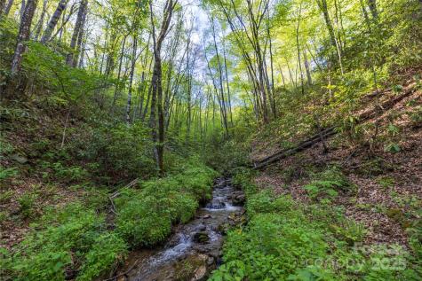 3409 Parris Branch Road Sylva NC 28779