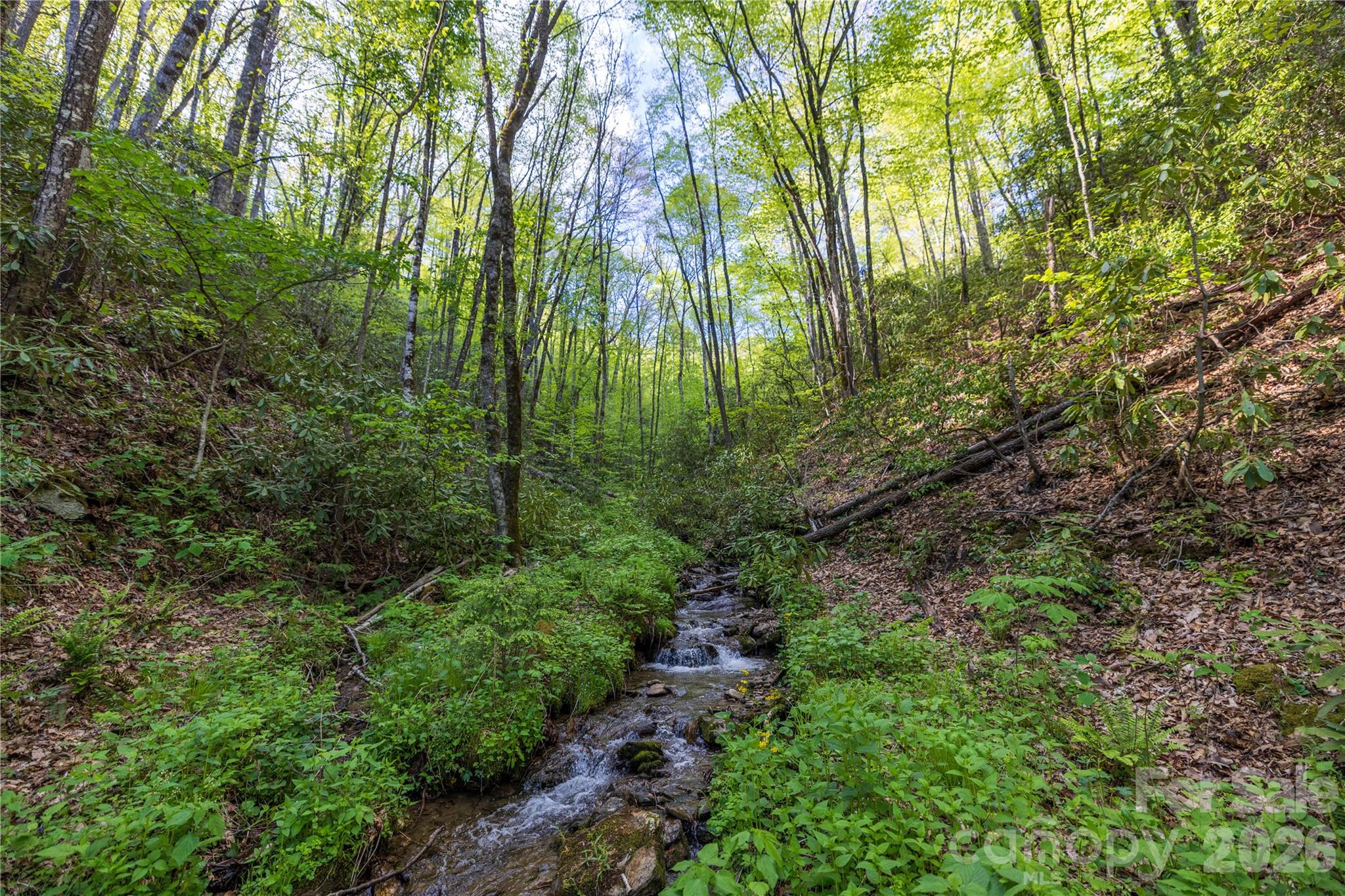 3409 Parris Branch Road Sylva NC 28779
