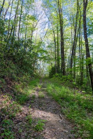 3409 Parris Branch Road Sylva NC 28779