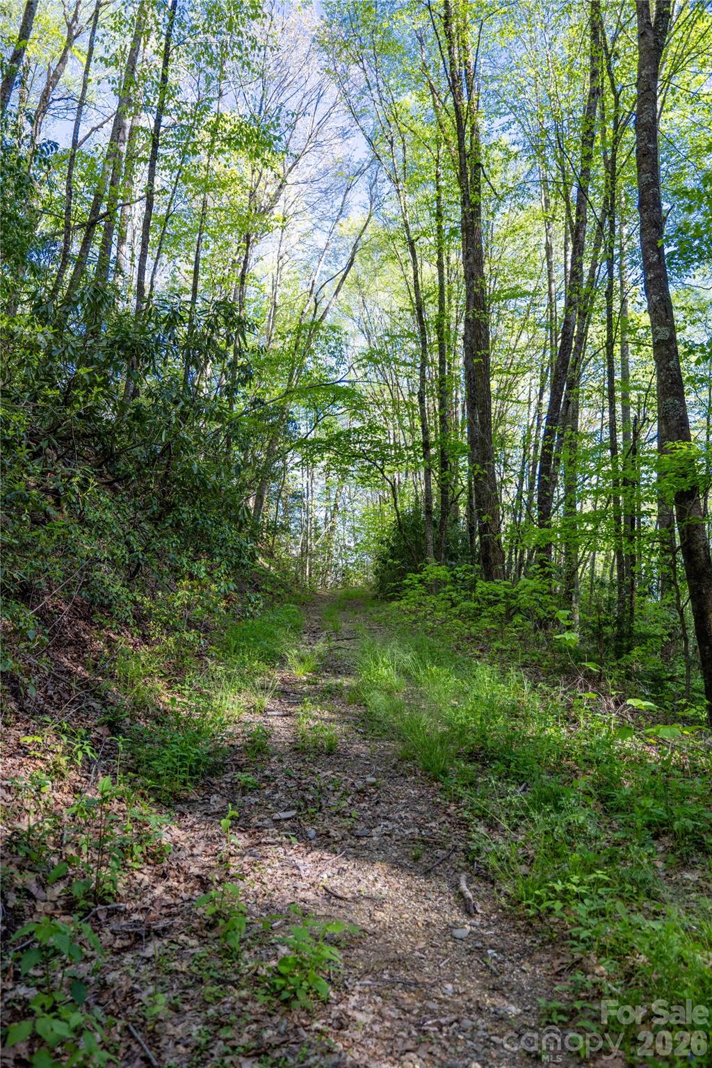3409 Parris Branch Road Sylva NC 28779