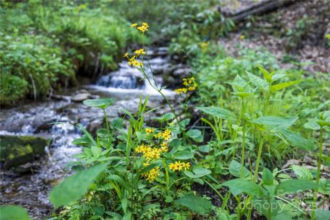 3409 Parris Branch Road Sylva NC 28779