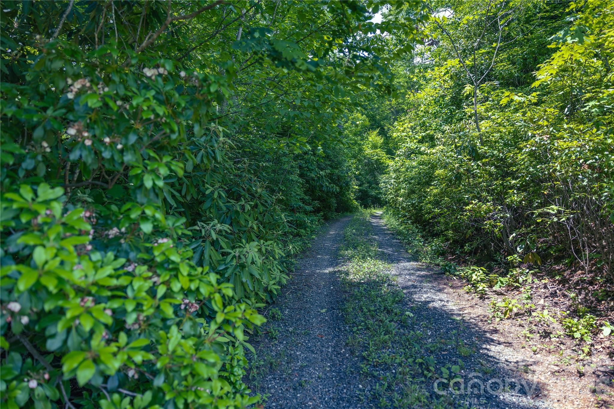 3409 Parris Branch Road Sylva NC 28779