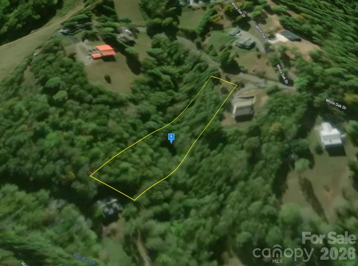 41 Knoll Lane Warne NC 28909