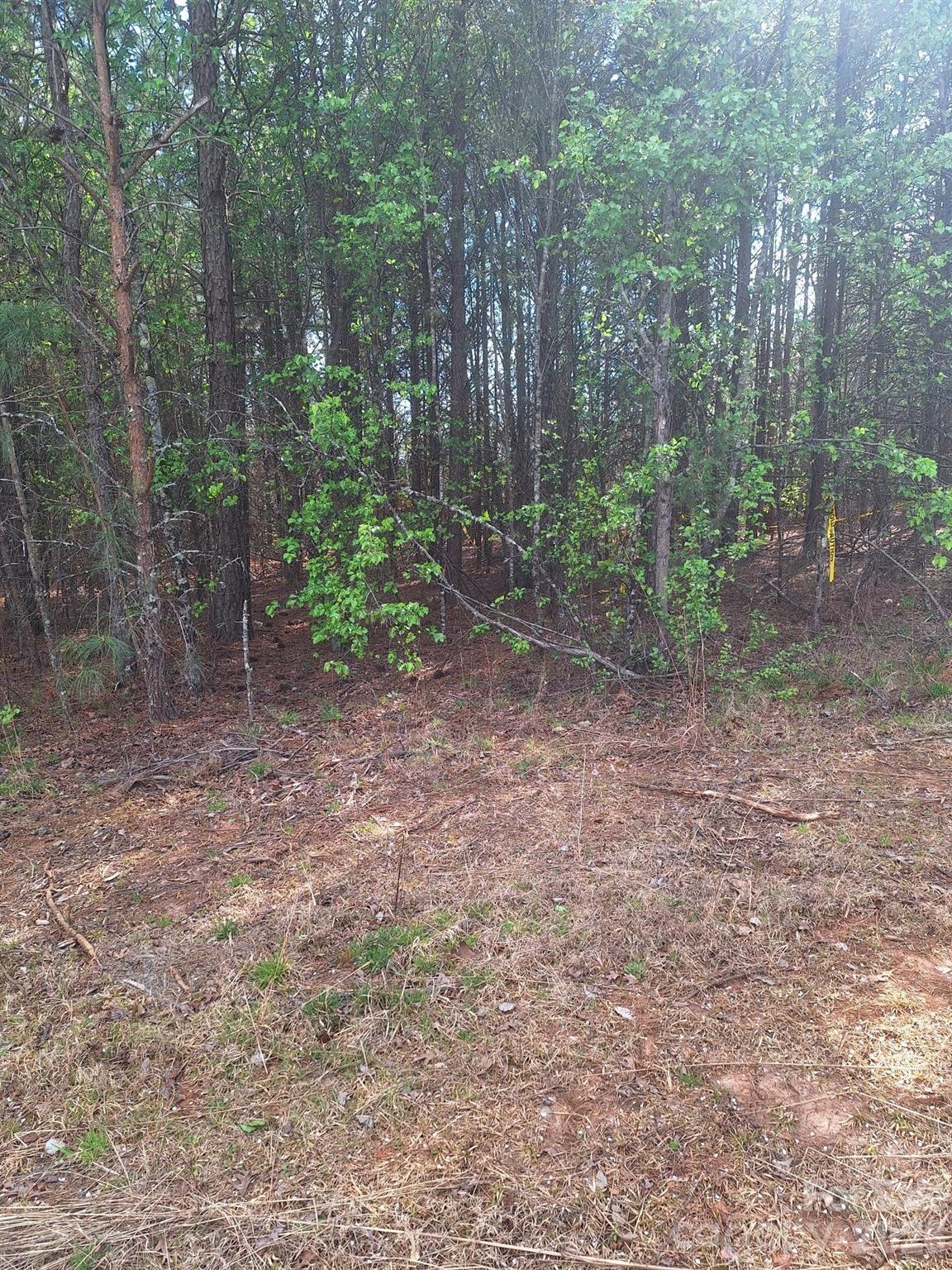 0 King Wilkinson Road Denver NC 28037