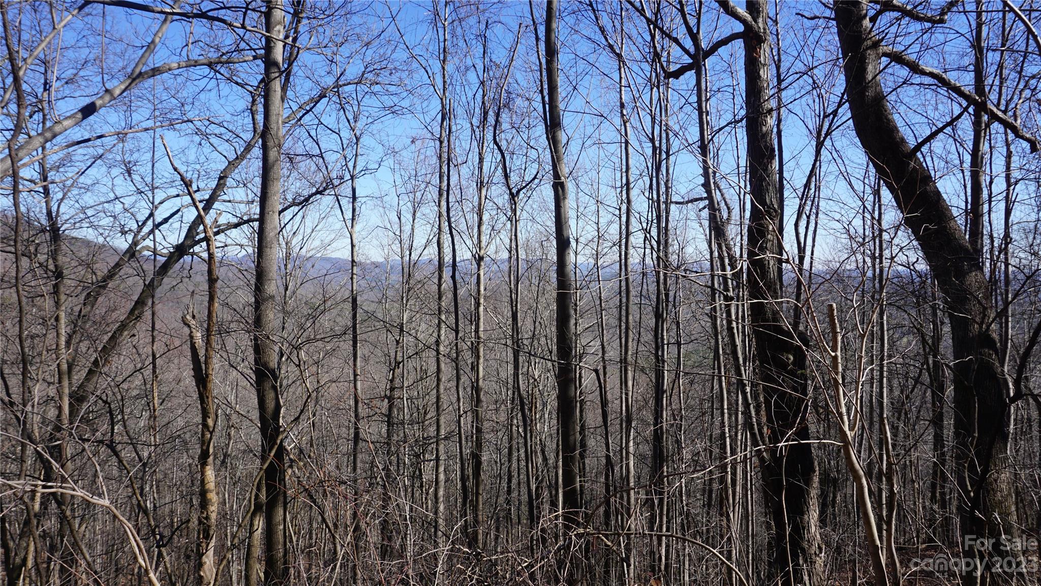 41 Pinnacle Parkway Union Mills NC 28167