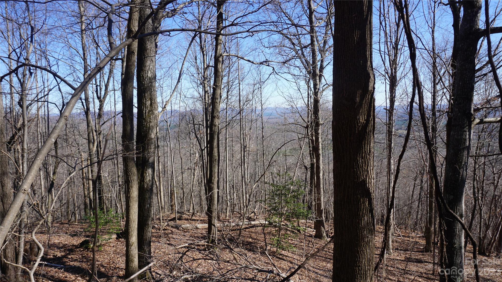 41 Pinnacle Parkway Union Mills NC 28167