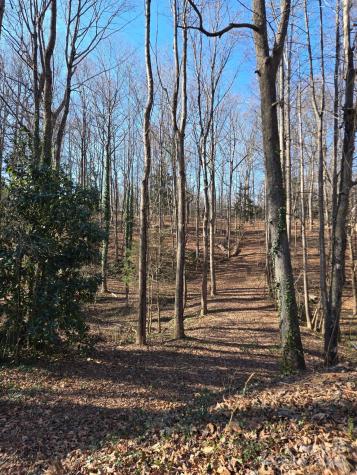 000 Spring Valley Lane Statesville NC 28677