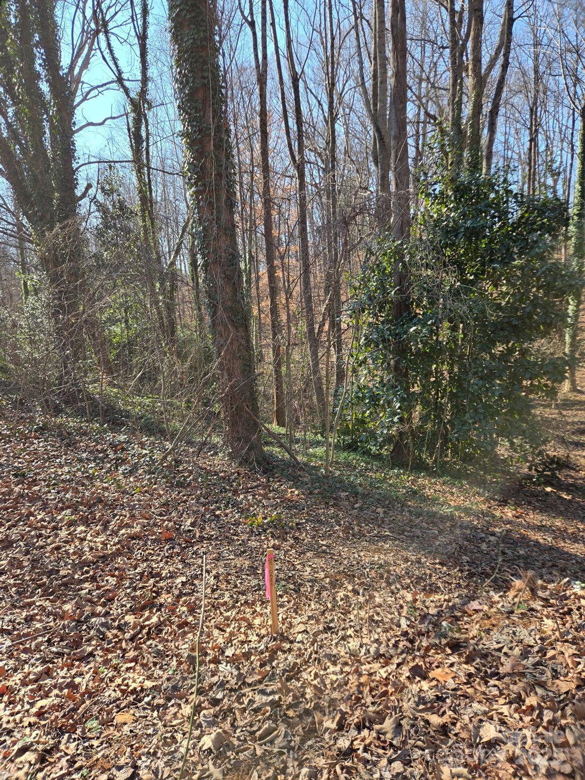 000 Spring Valley Lane Statesville NC 28677
