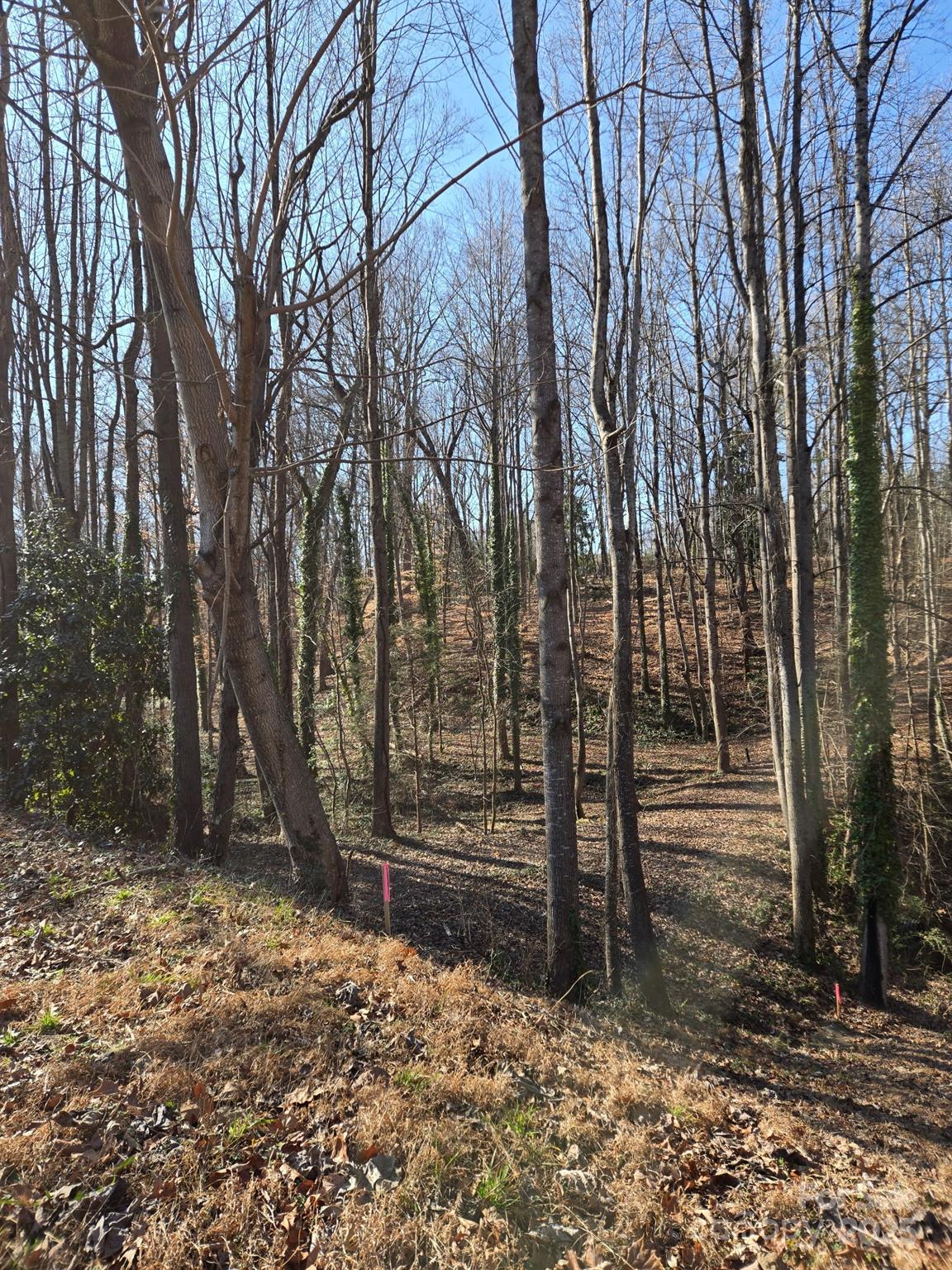 000 Spring Valley Lane Statesville NC 28677