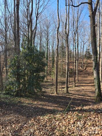 000 Spring Valley Lane Statesville NC 28677
