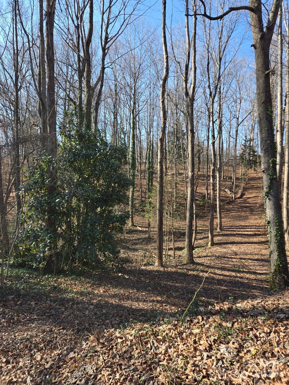 000 Spring Valley Lane Statesville NC 28677