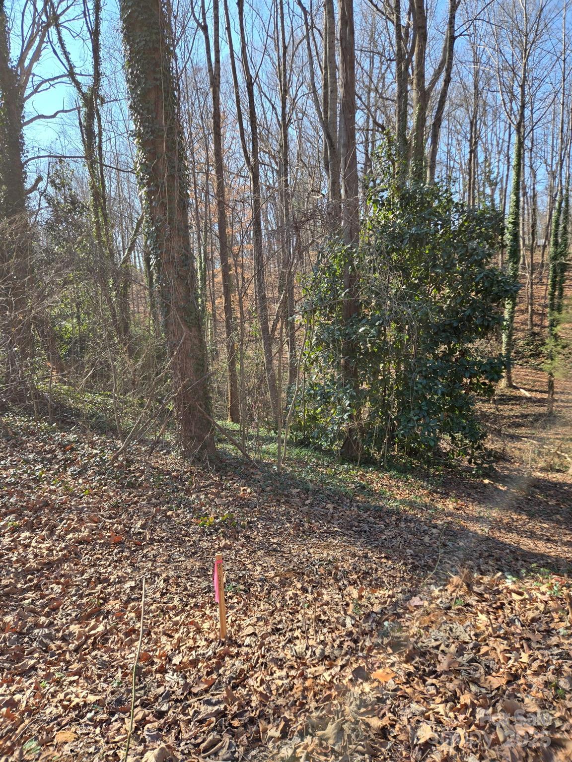 000 Spring Valley Lane Statesville NC 28677