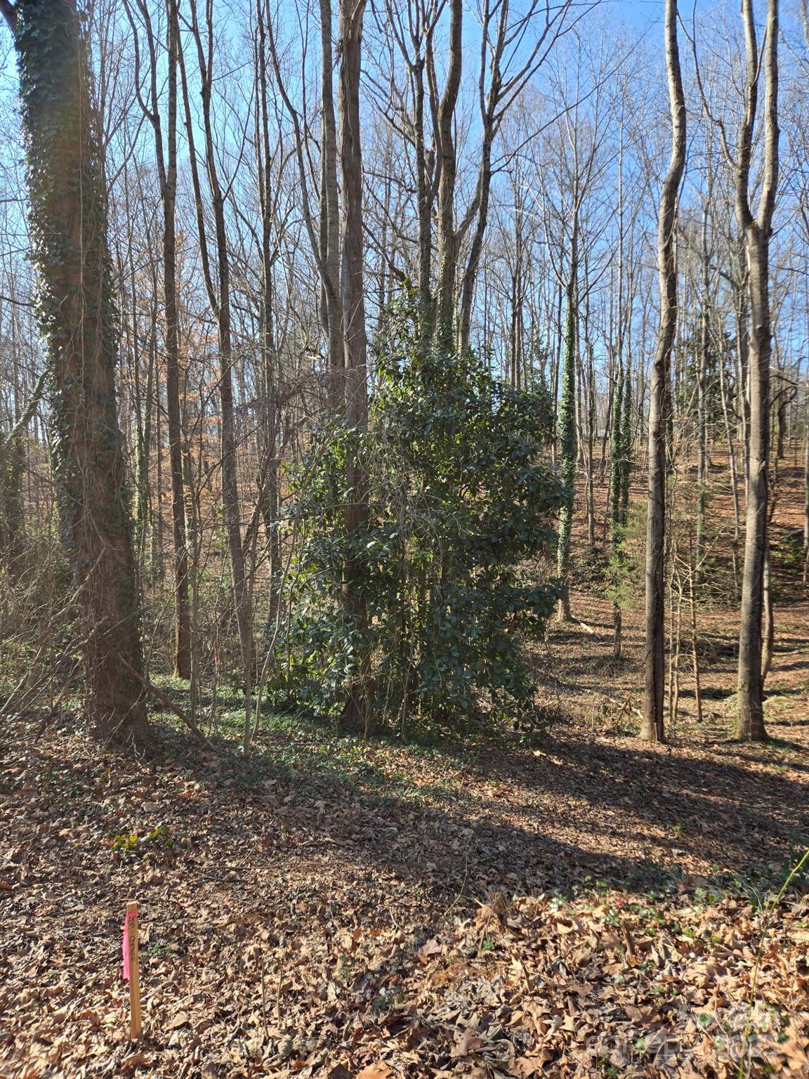 000 Spring Valley Lane Statesville NC 28677