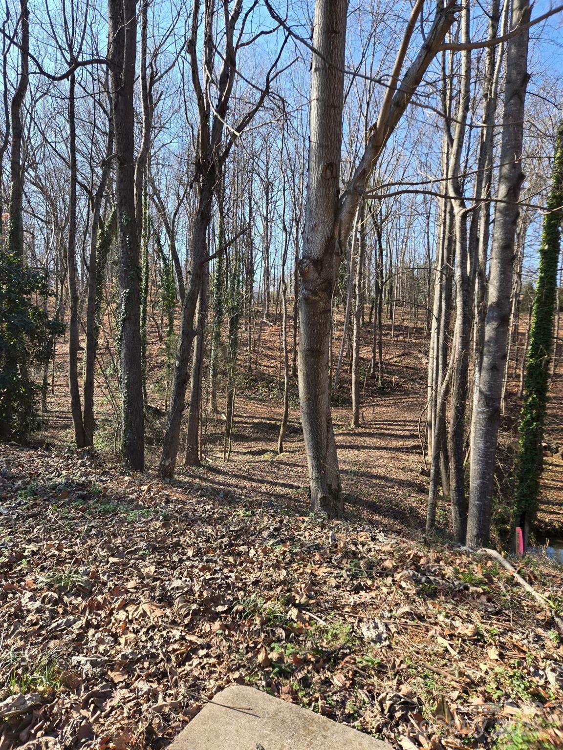000 Spring Valley Lane Statesville NC 28677
