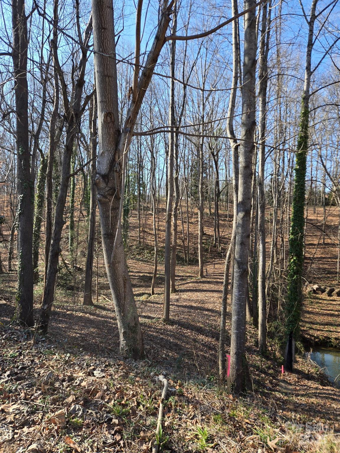 000 Spring Valley Lane Statesville NC 28677