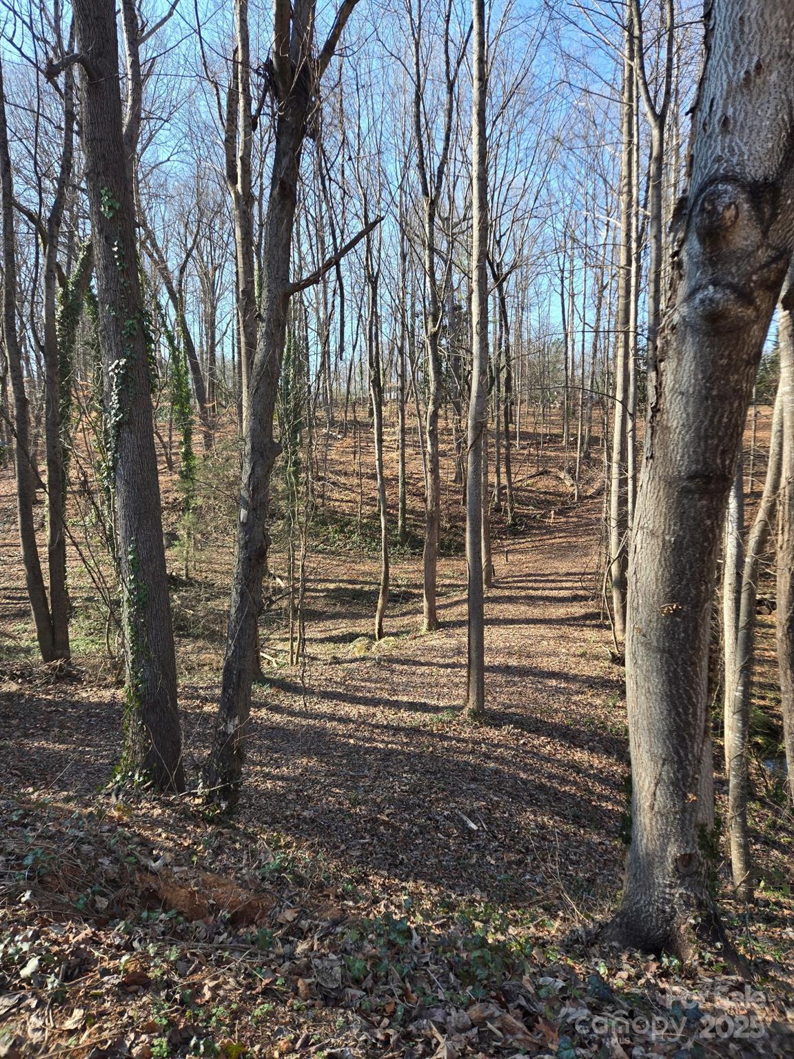 000 Spring Valley Lane Statesville NC 28677
