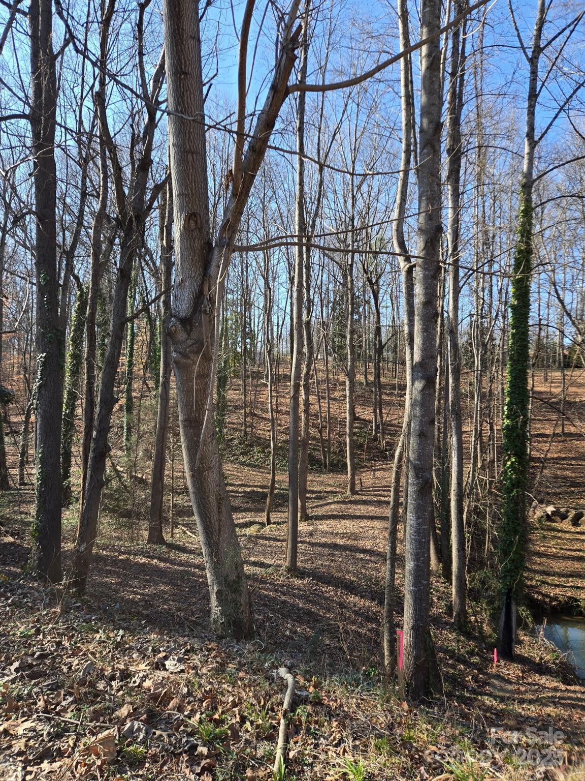 000 Spring Valley Lane Statesville NC 28677