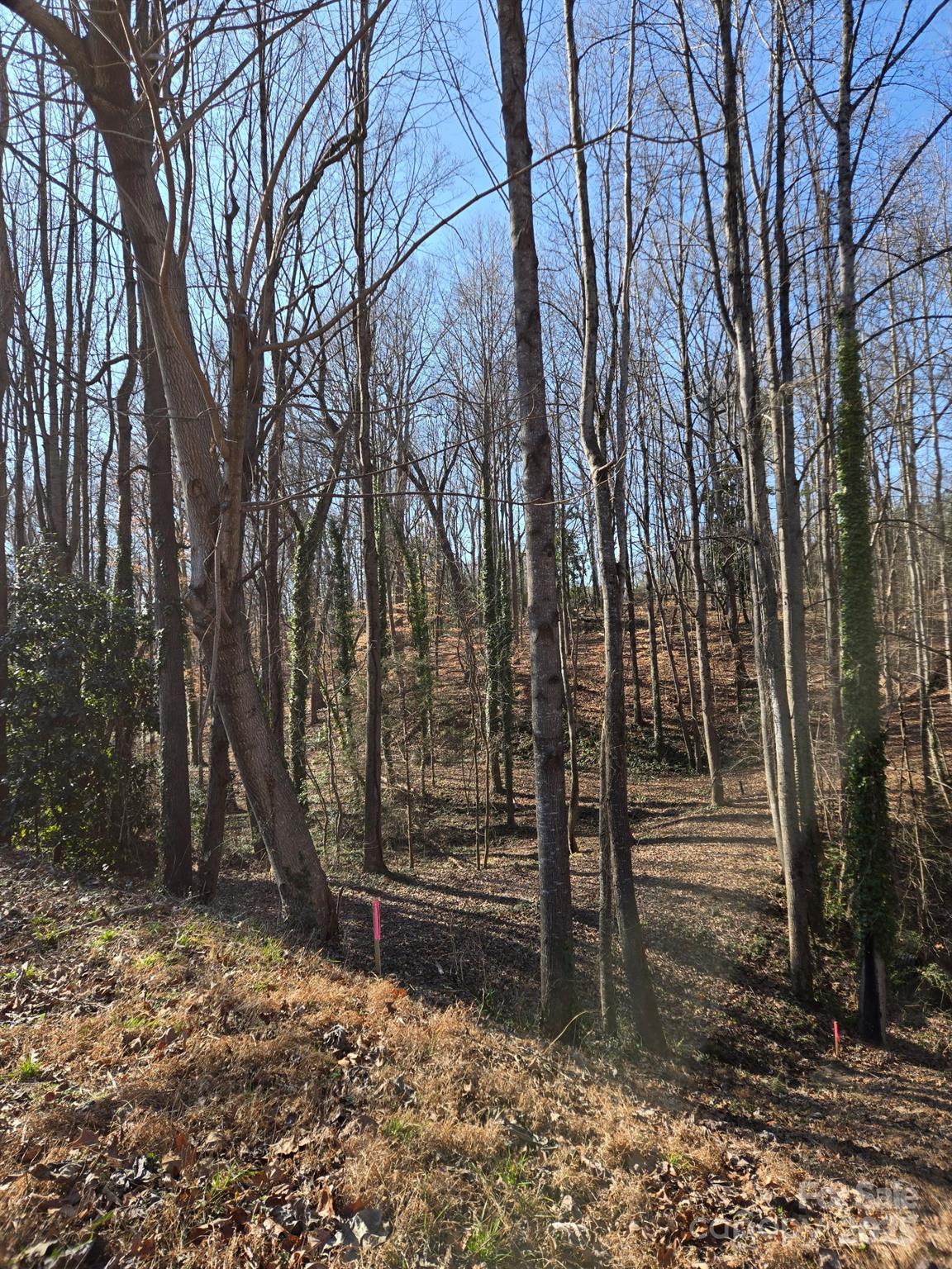 000 Spring Valley Lane Statesville NC 28677