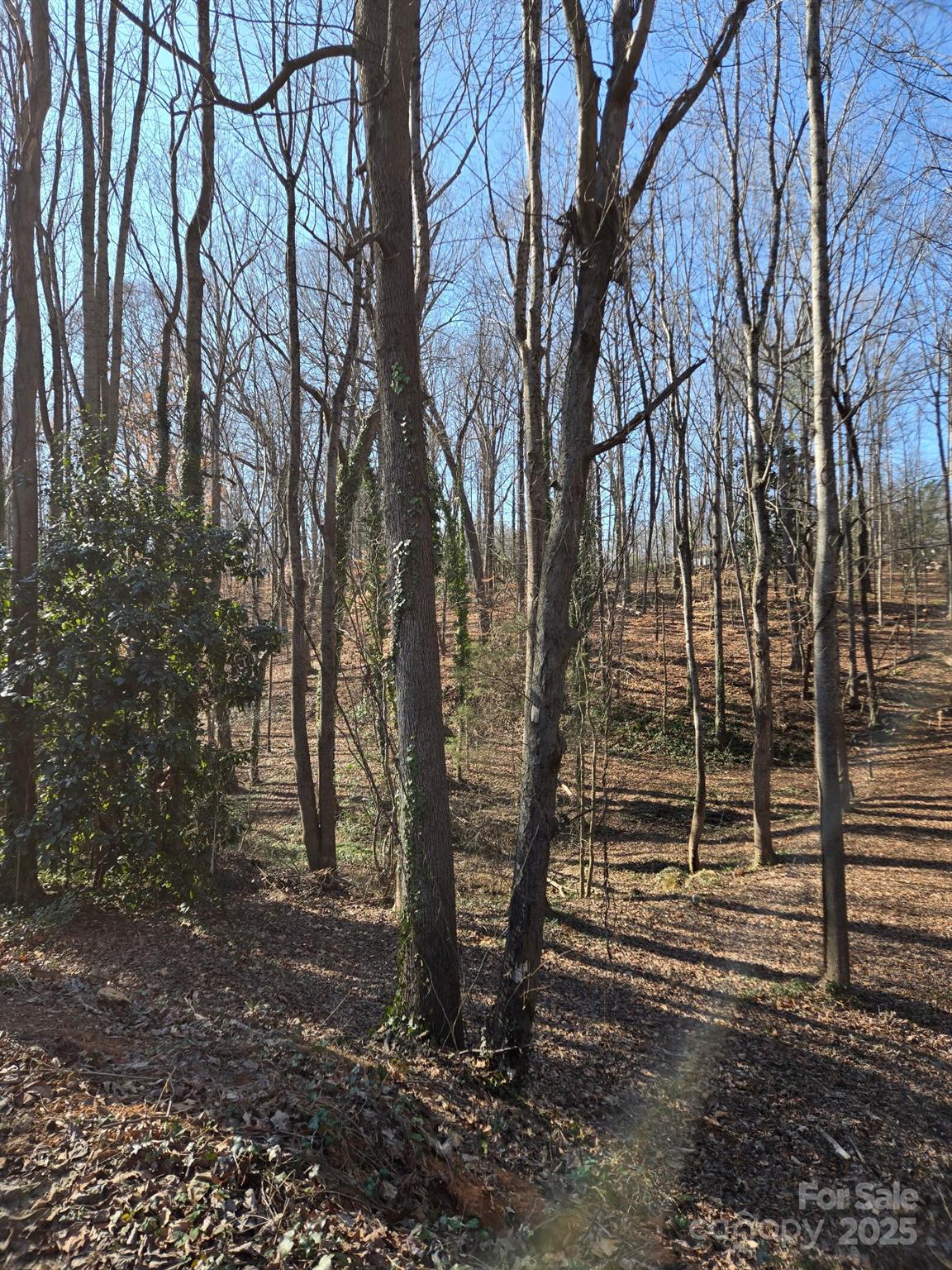 000 Spring Valley Lane Statesville NC 28677