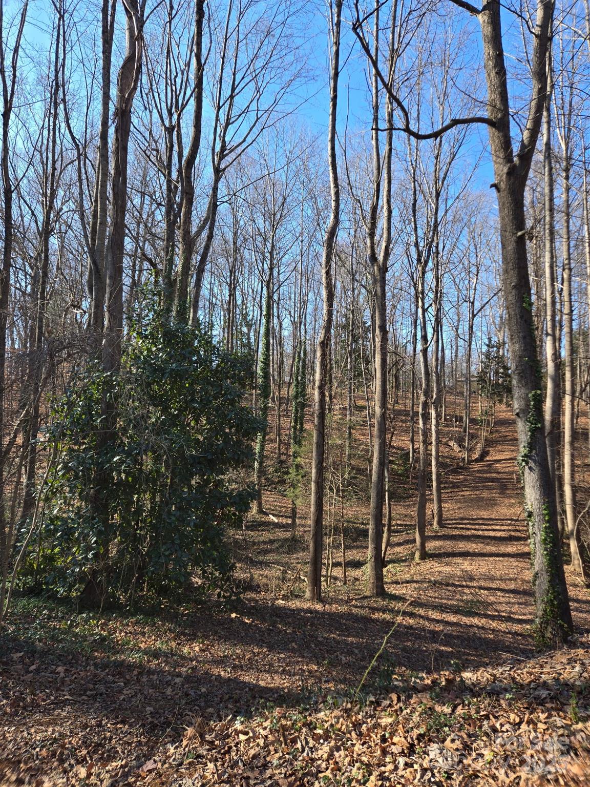 000 Spring Valley Lane Statesville NC 28677