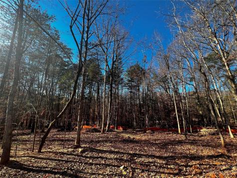 156 Copper Pine Lane Davidson NC 28036