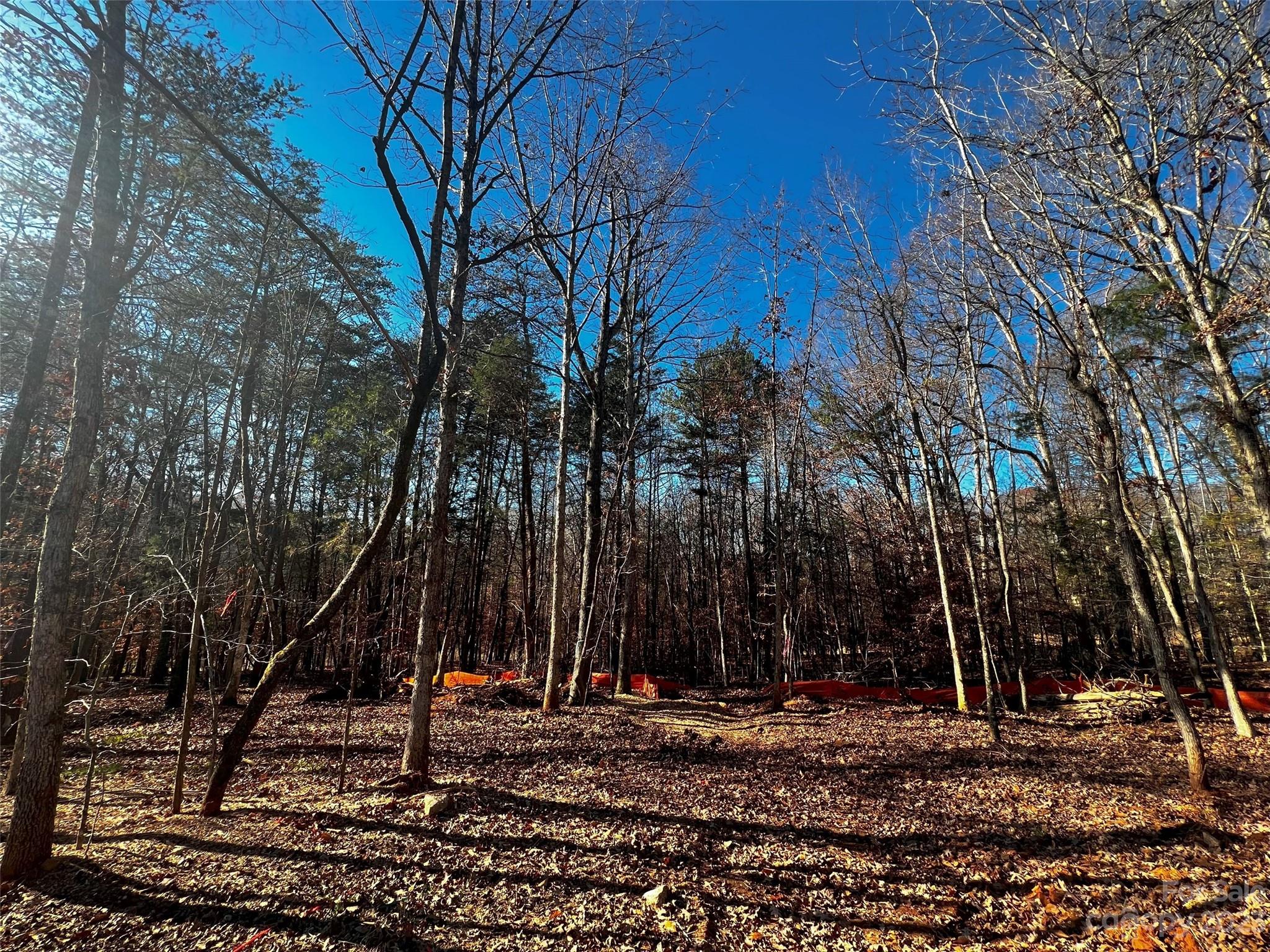 156 Copper Pine Lane Davidson NC 28036