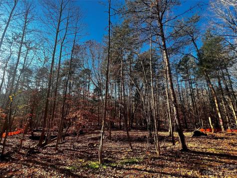 156 Copper Pine Lane Davidson NC 28036