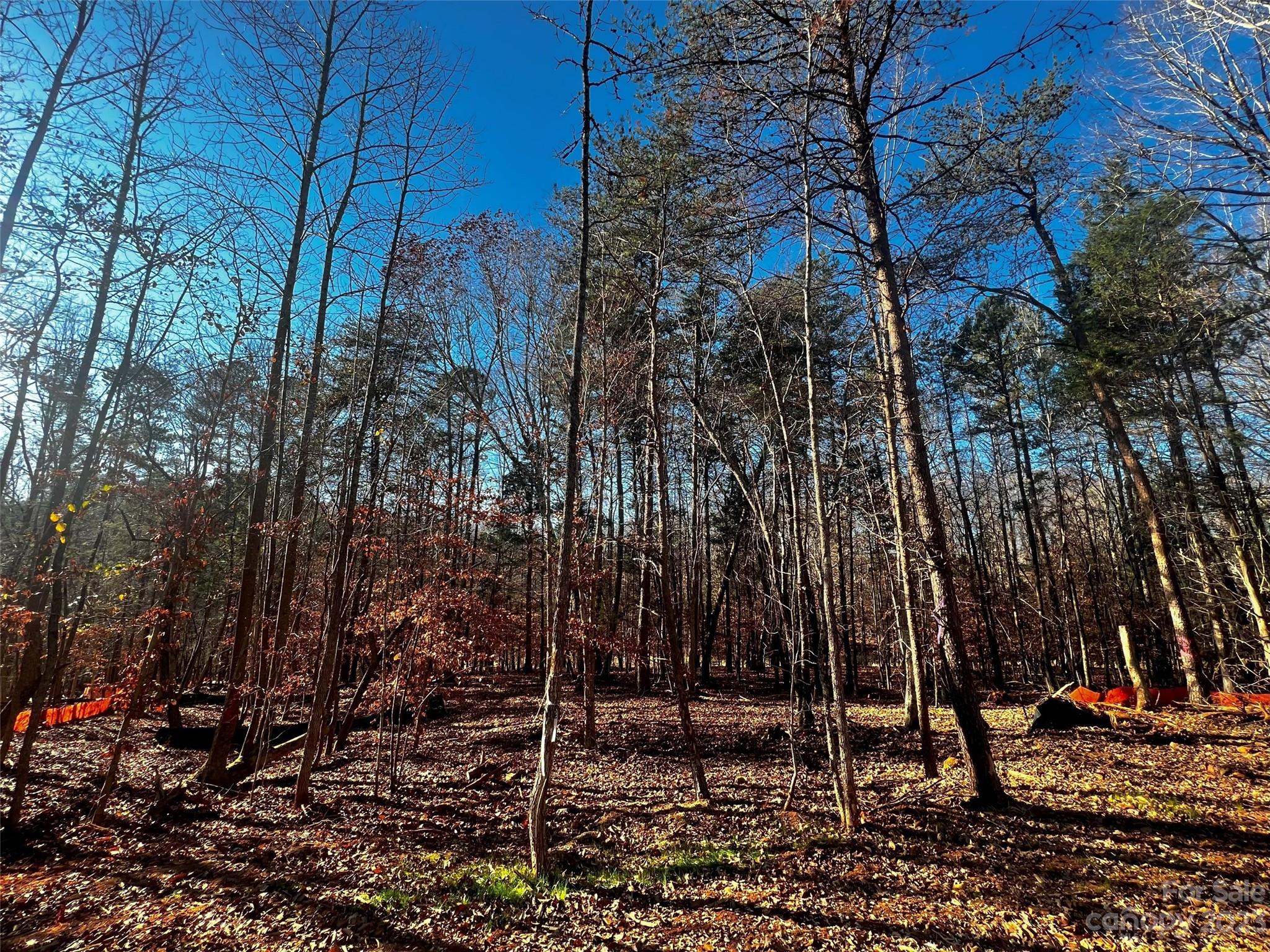 156 Copper Pine Lane Davidson NC 28036