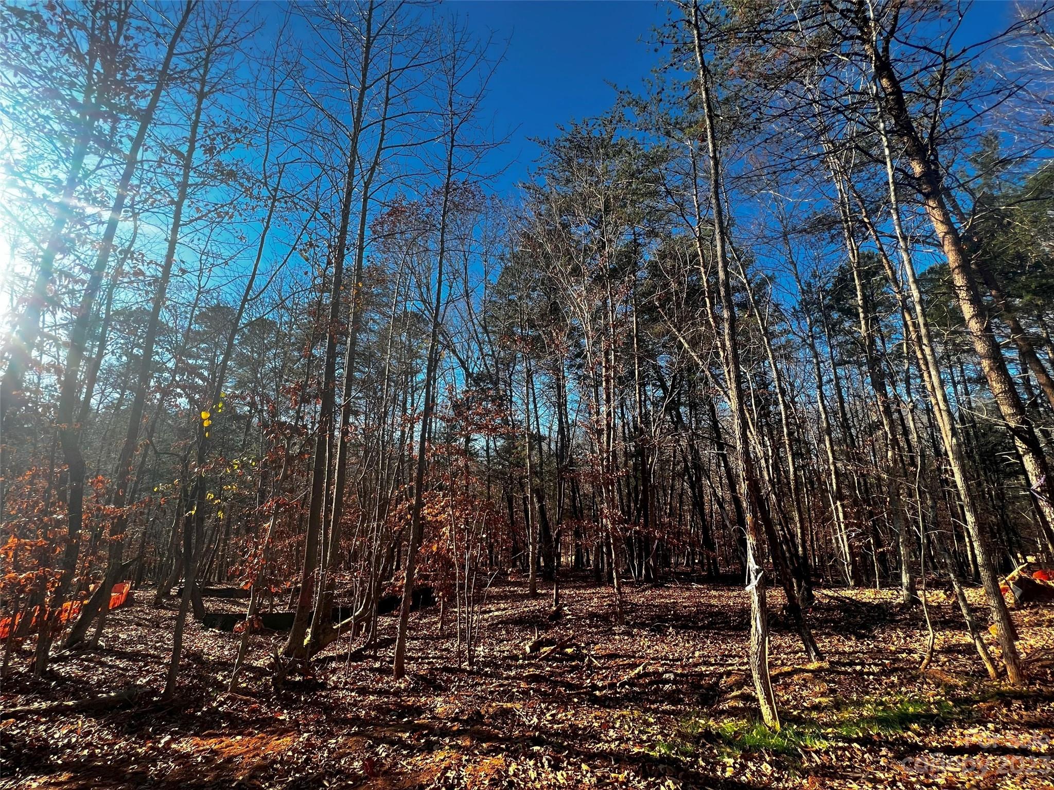 156 Copper Pine Lane Davidson NC 28036