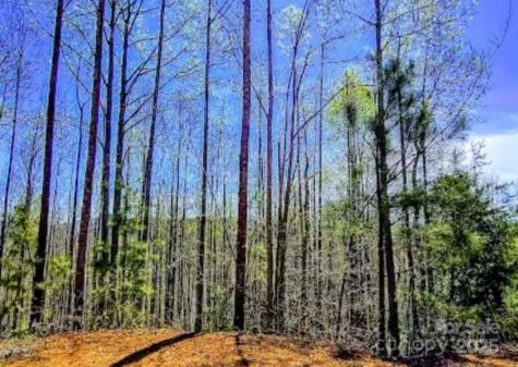 153 Westridge Drive Bostic NC 28018