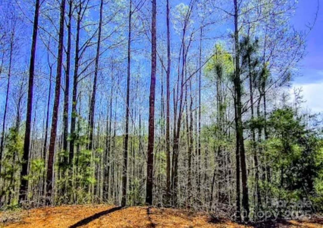 153 Westridge Drive Bostic NC 28018