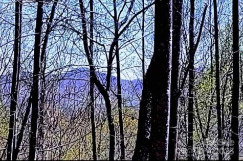 153 Westridge Drive Bostic NC 28018