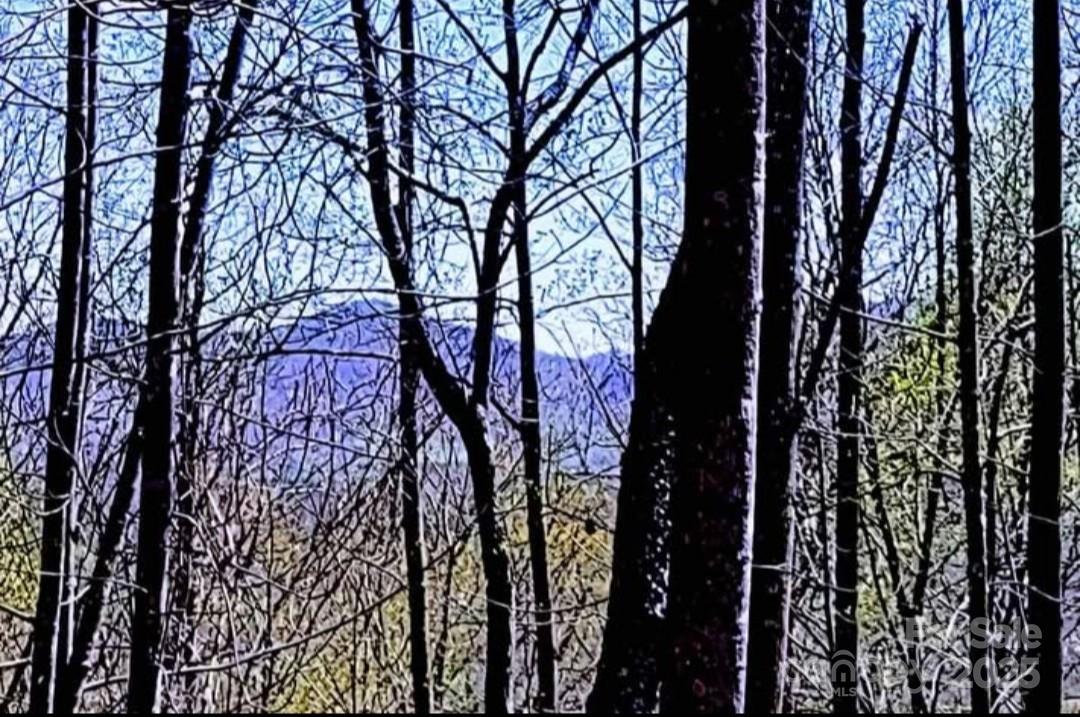 153 Westridge Drive Bostic NC 28018