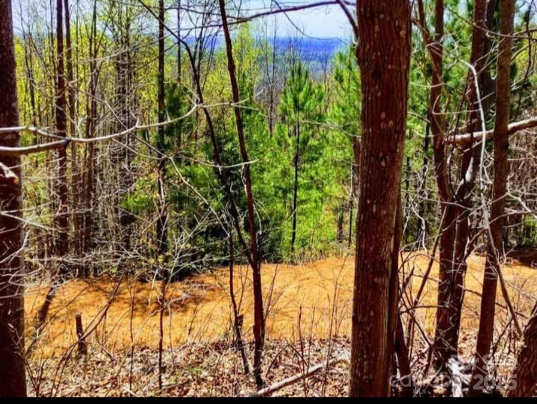 153 Westridge Drive Bostic NC 28018