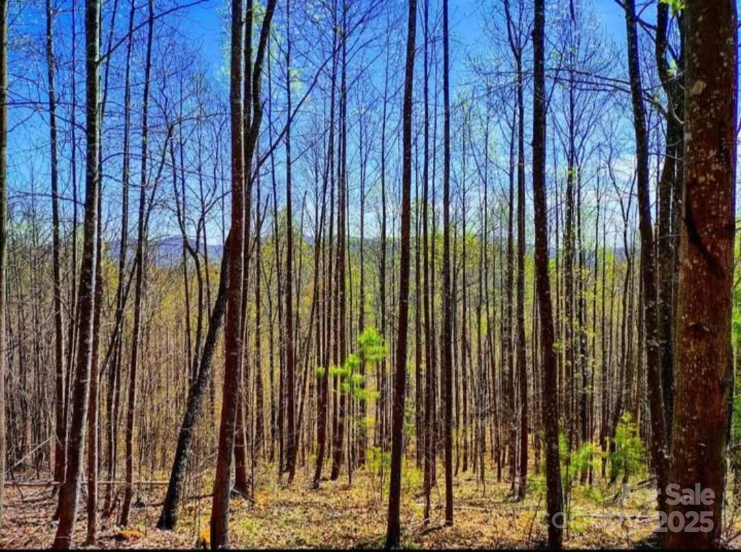 153 Westridge Drive Bostic NC 28018