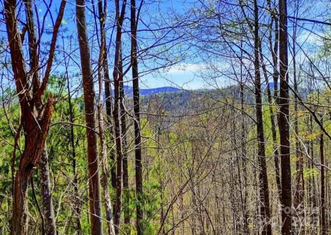 153 Westridge Drive Bostic NC 28018