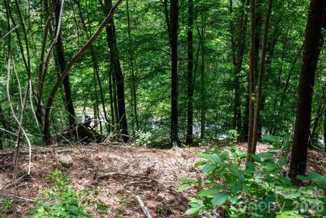 000 Narrow Gauge Drive Lenoir NC 28645
