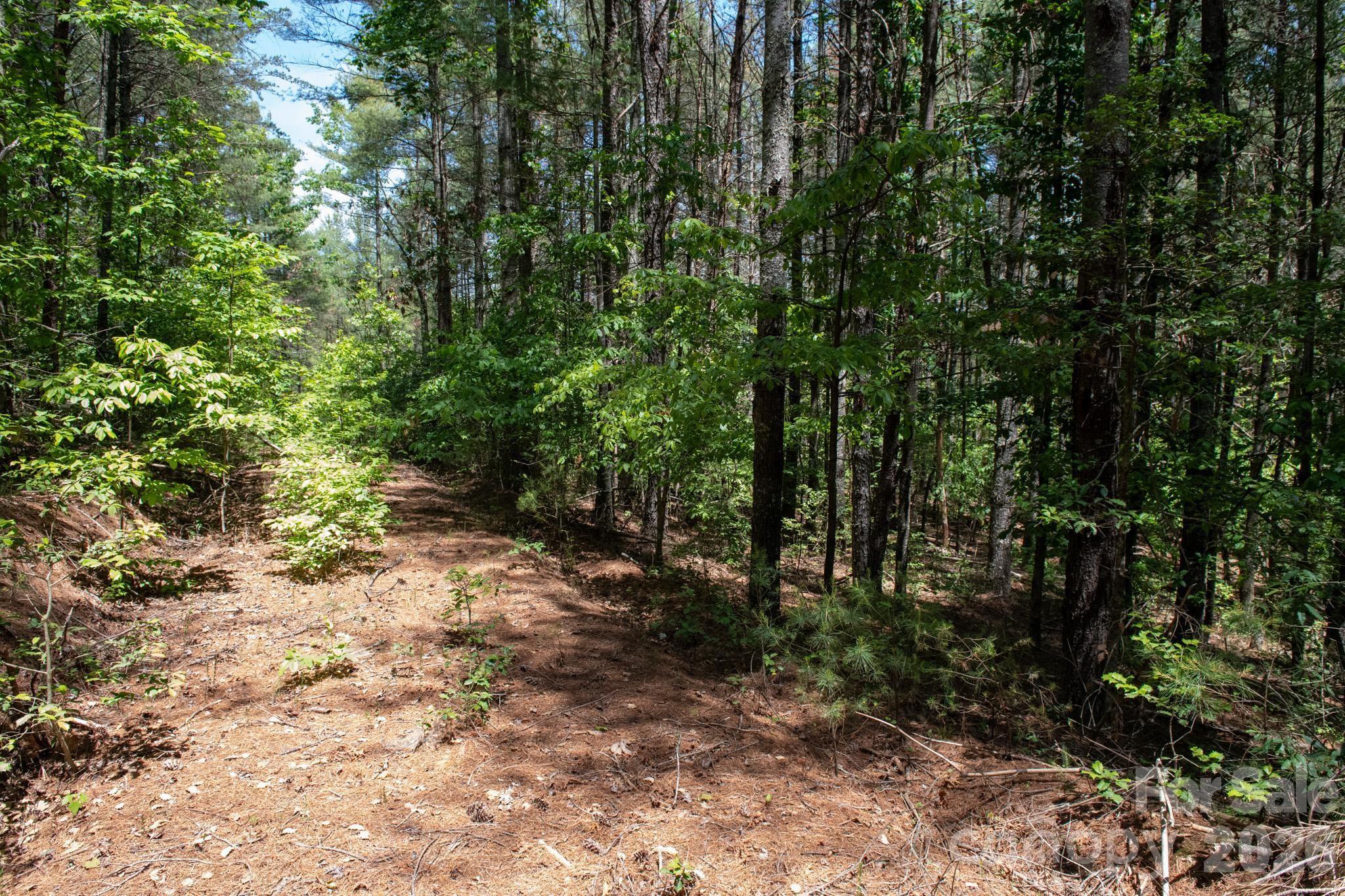 000 Narrow Gauge Drive Lenoir NC 28645