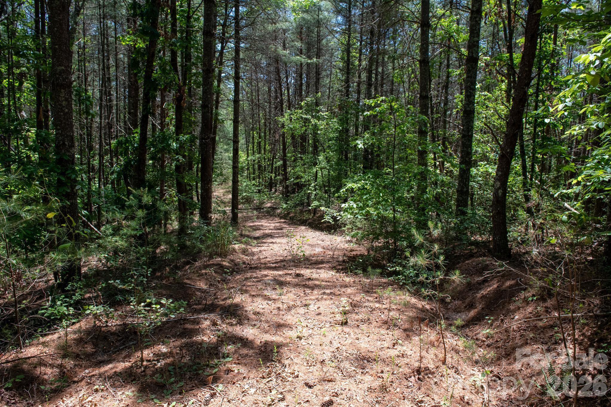 000 Narrow Gauge Drive Lenoir NC 28645