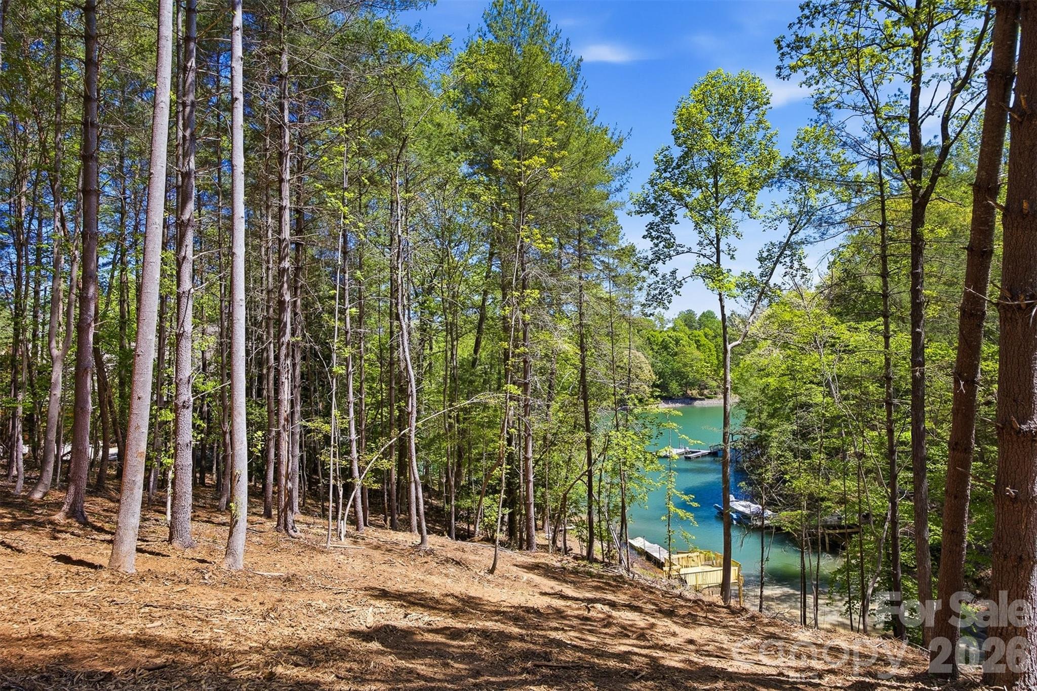 4981 Camellia Drive Morganton NC 28655