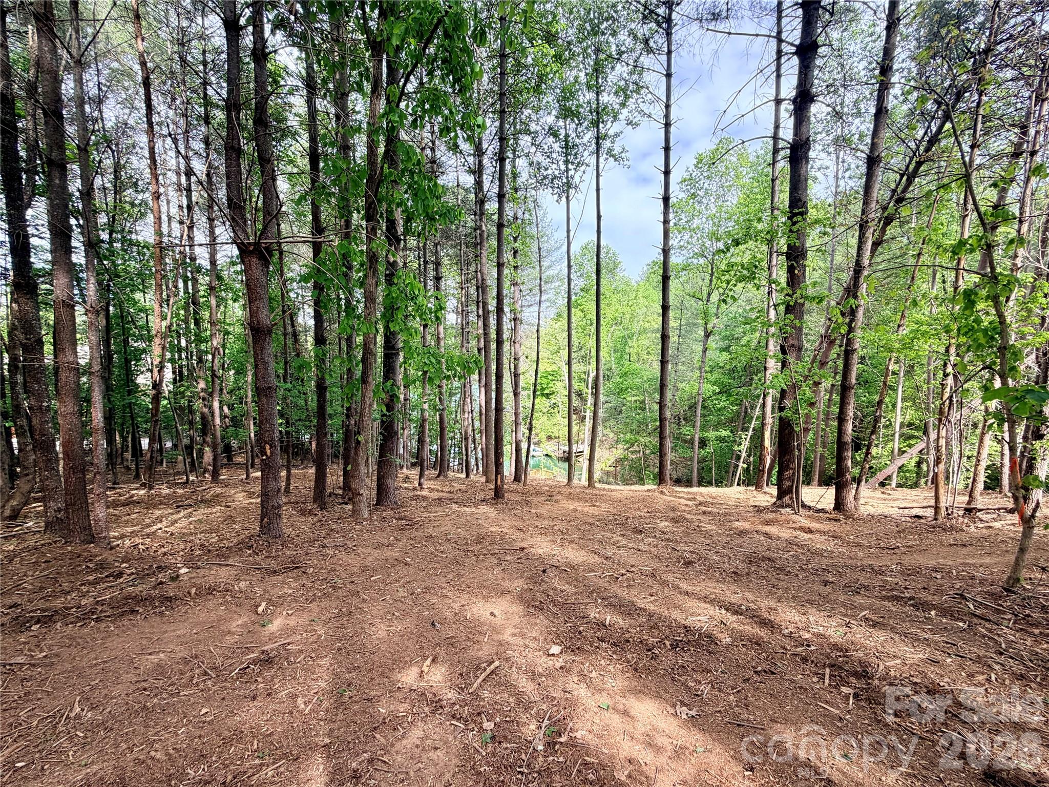 4981 Camellia Drive Morganton NC 28655
