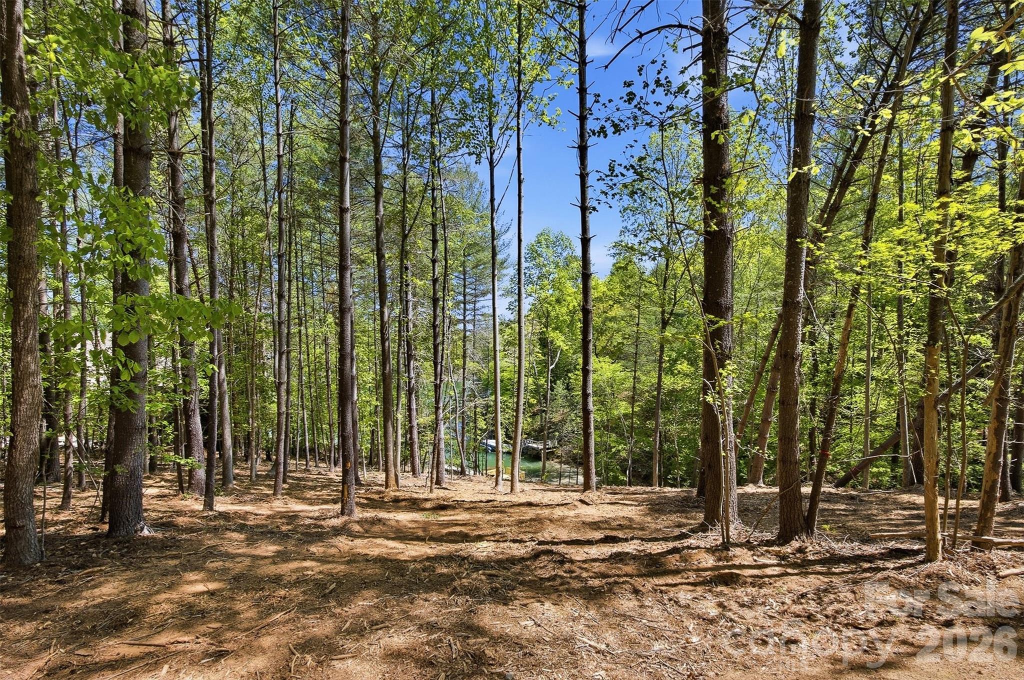 4981 Camellia Drive Morganton NC 28655