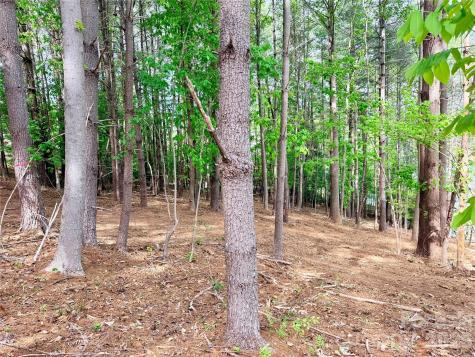 4981 Camellia Drive Morganton NC 28655