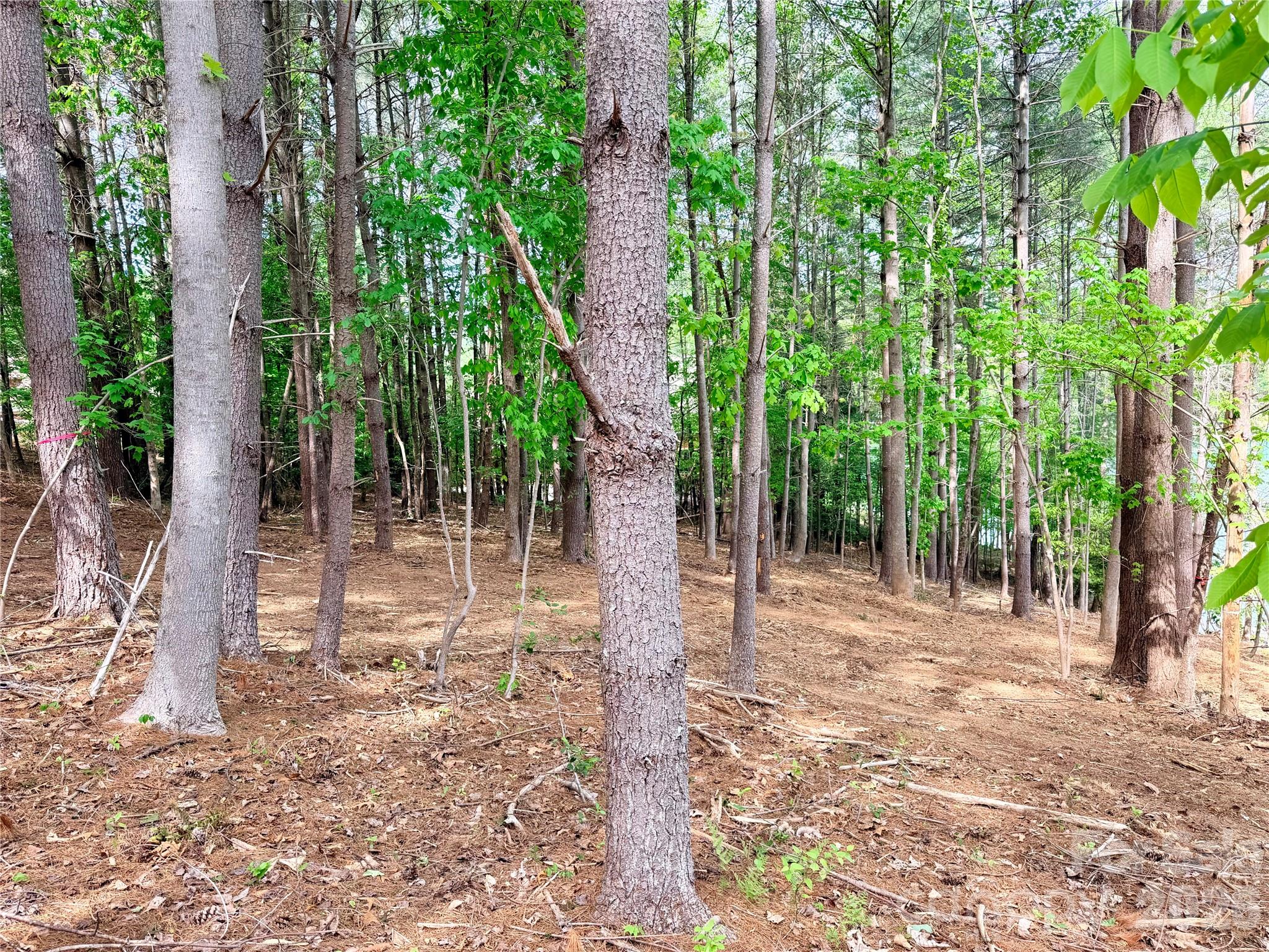 4981 Camellia Drive Morganton NC 28655